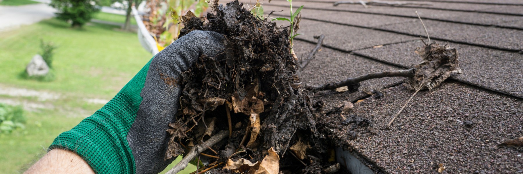 Handful of wet debris lifted out of a roof gutter