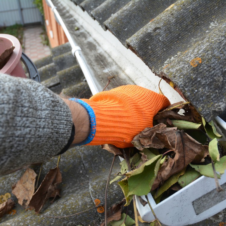 Gloved hand clearing leaves and debris out of a rain gutter