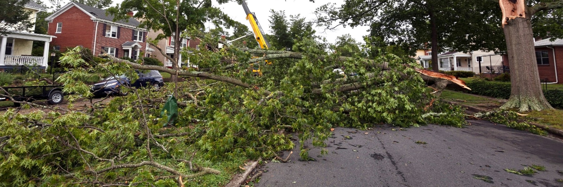 Large storm-downed tree limbs across a residential street
