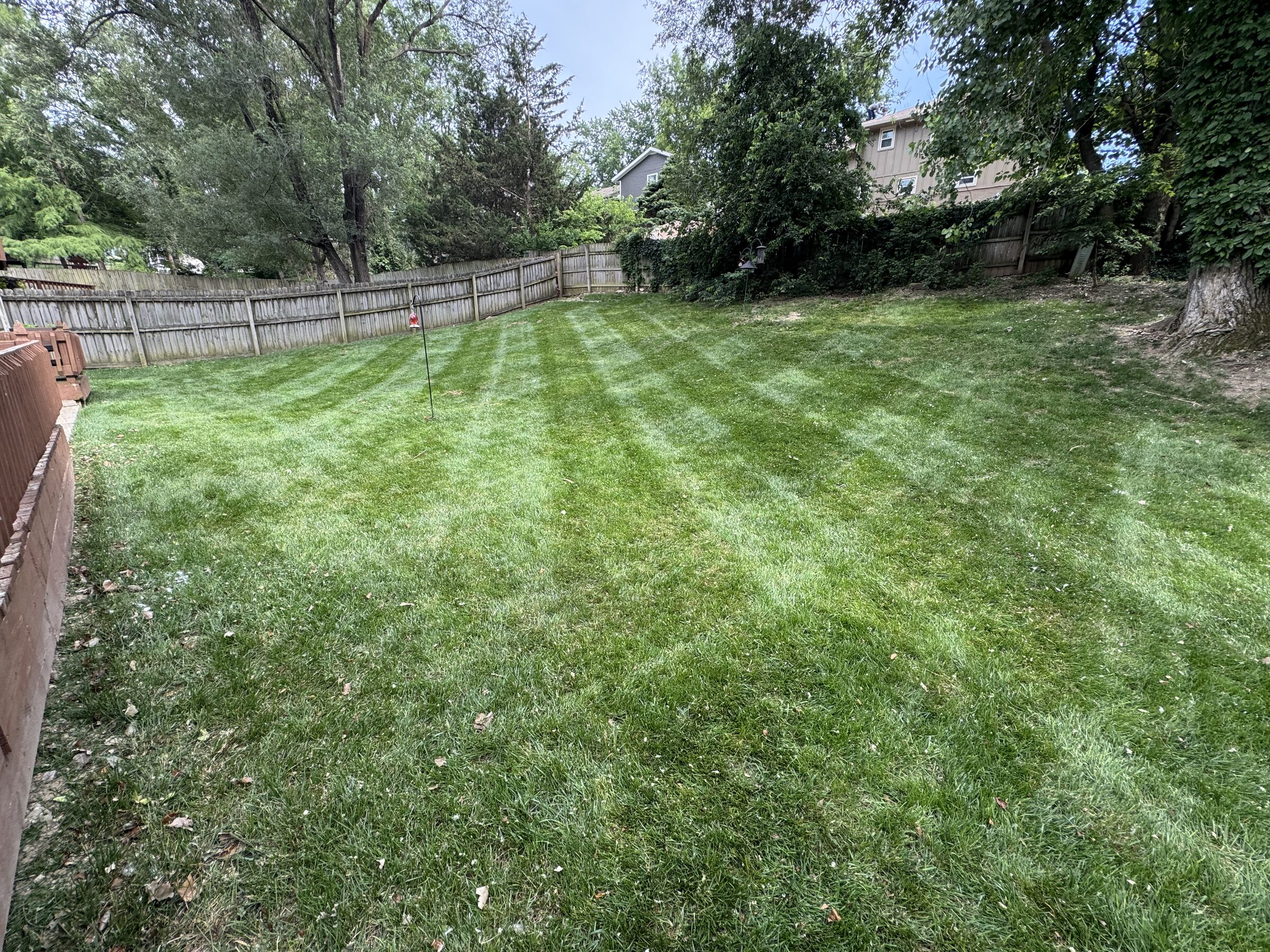 Fenced backyard mowed in a diagonal striping pattern