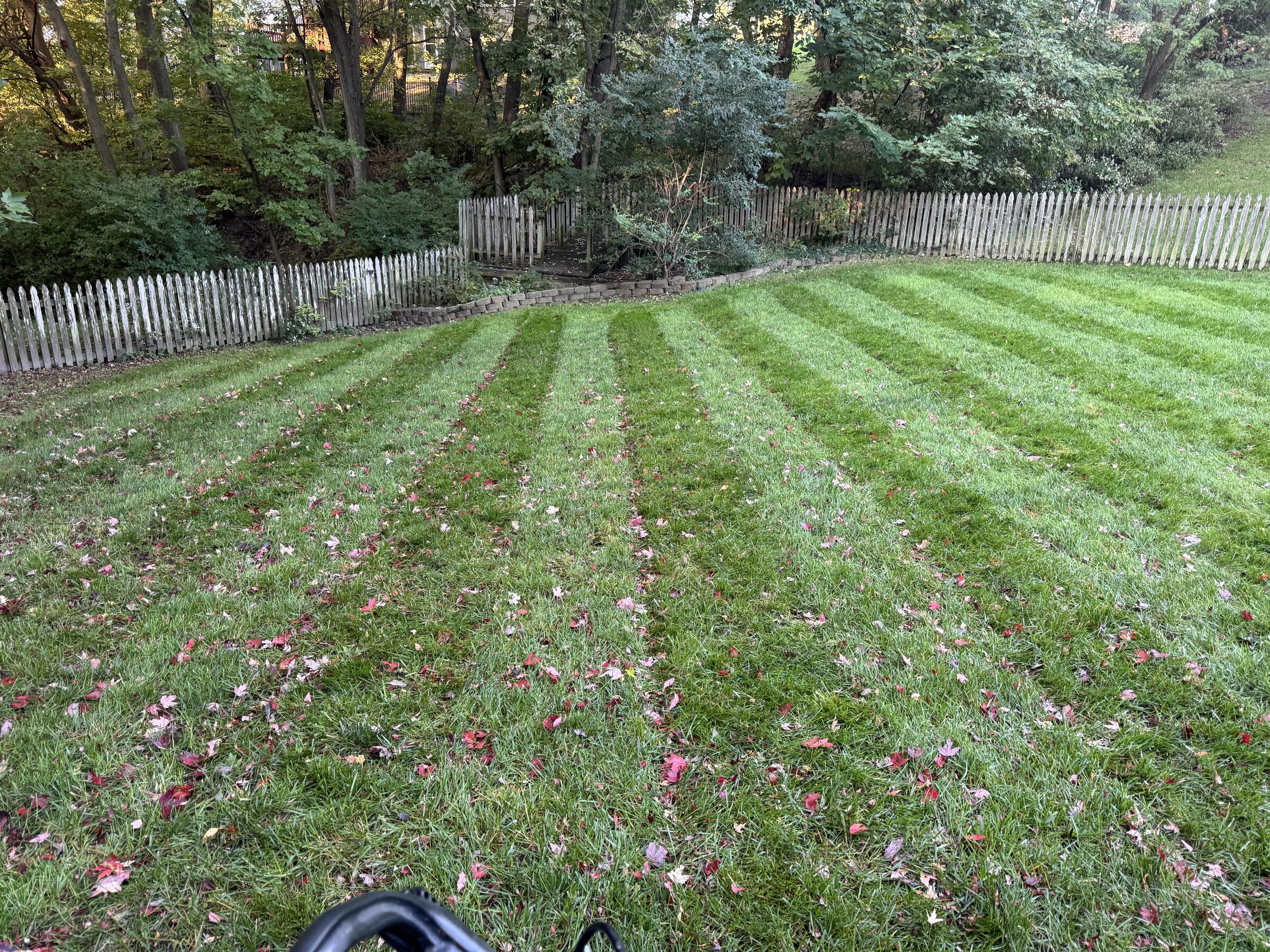 Fall mowing in progress on a sloped backyard with a wooden fence