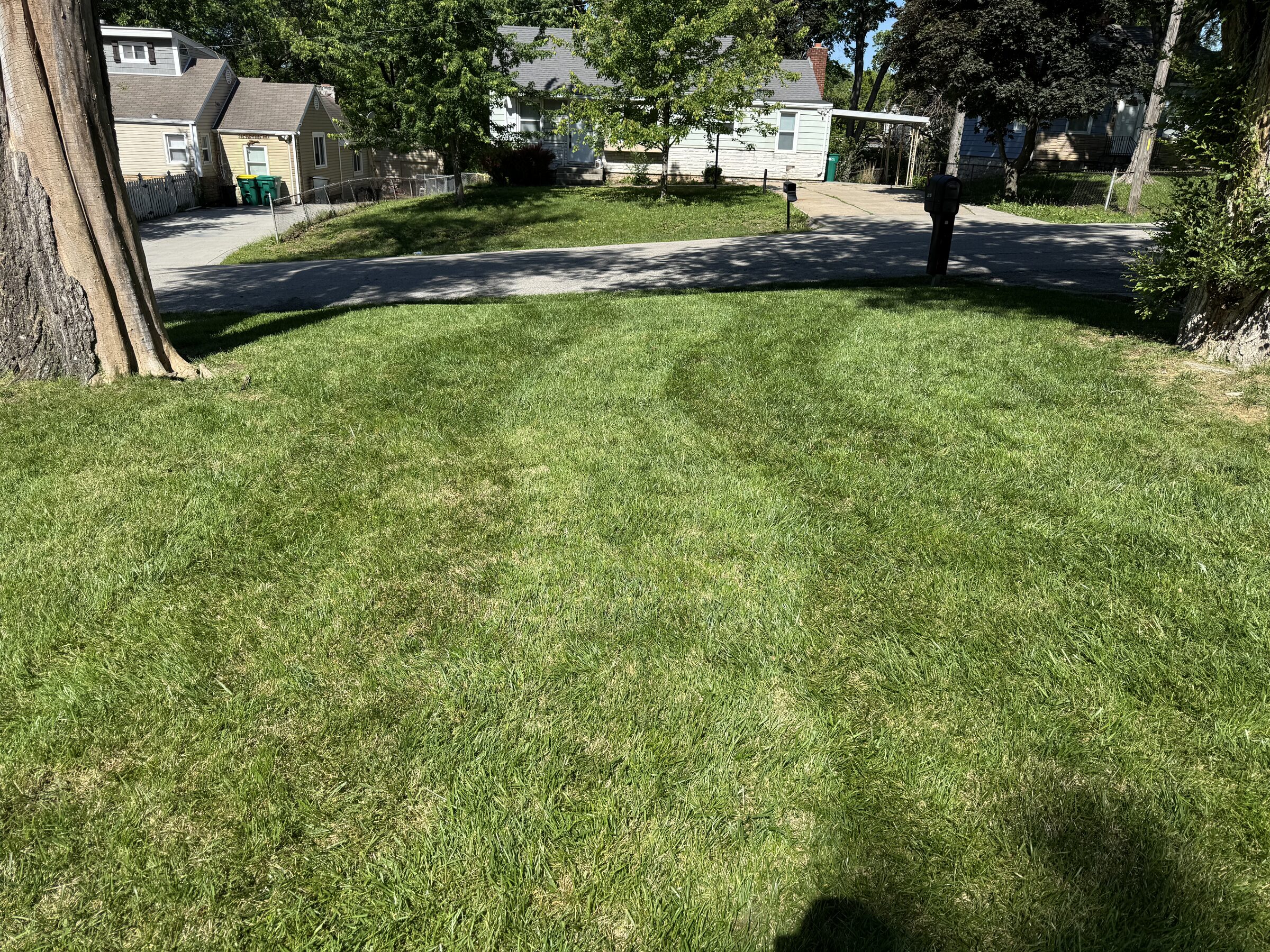 Neatly mowed front yard with subtle cut lines running to the street