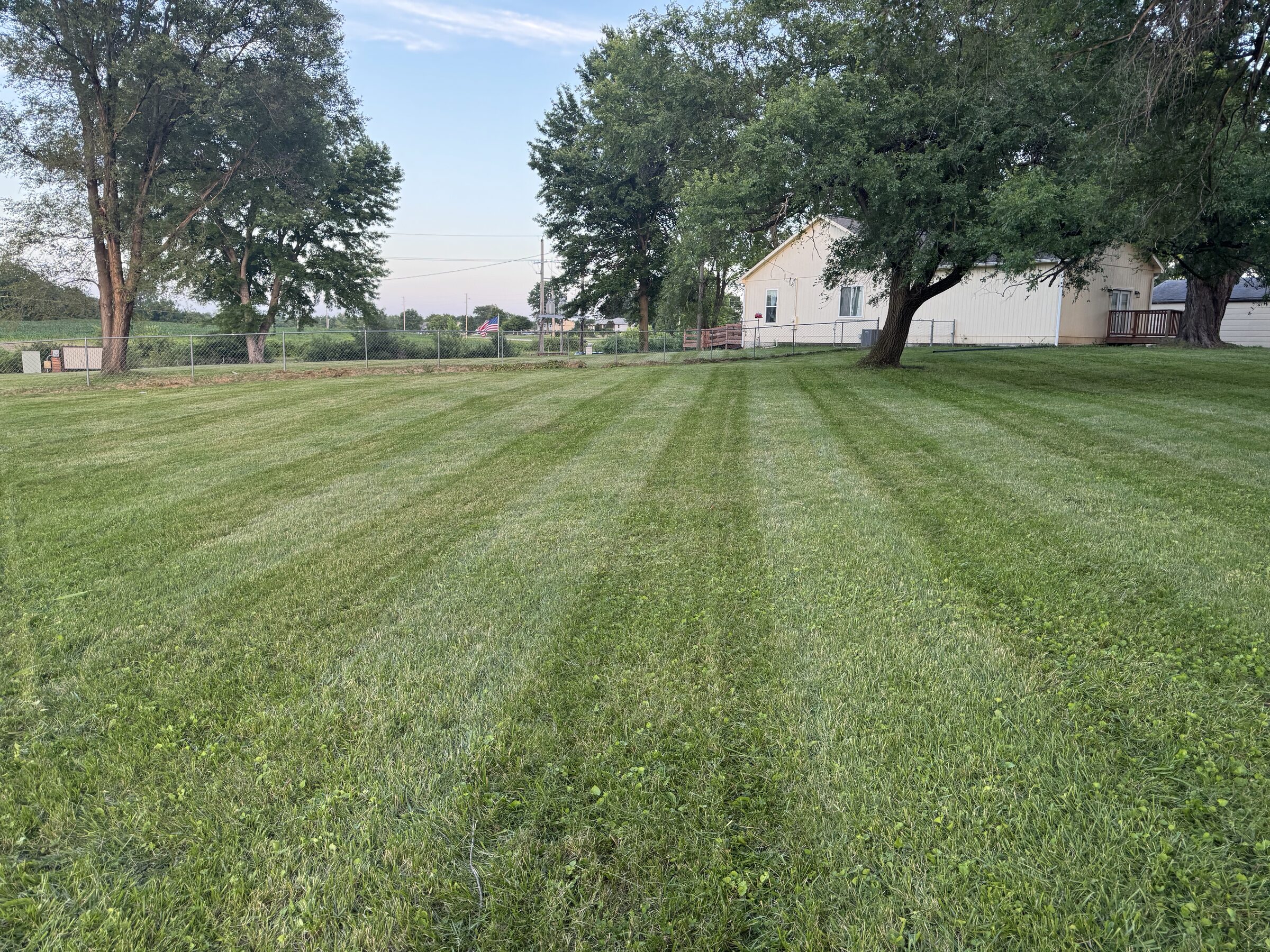 Large backyard lawn cut with uniform mowing stripes