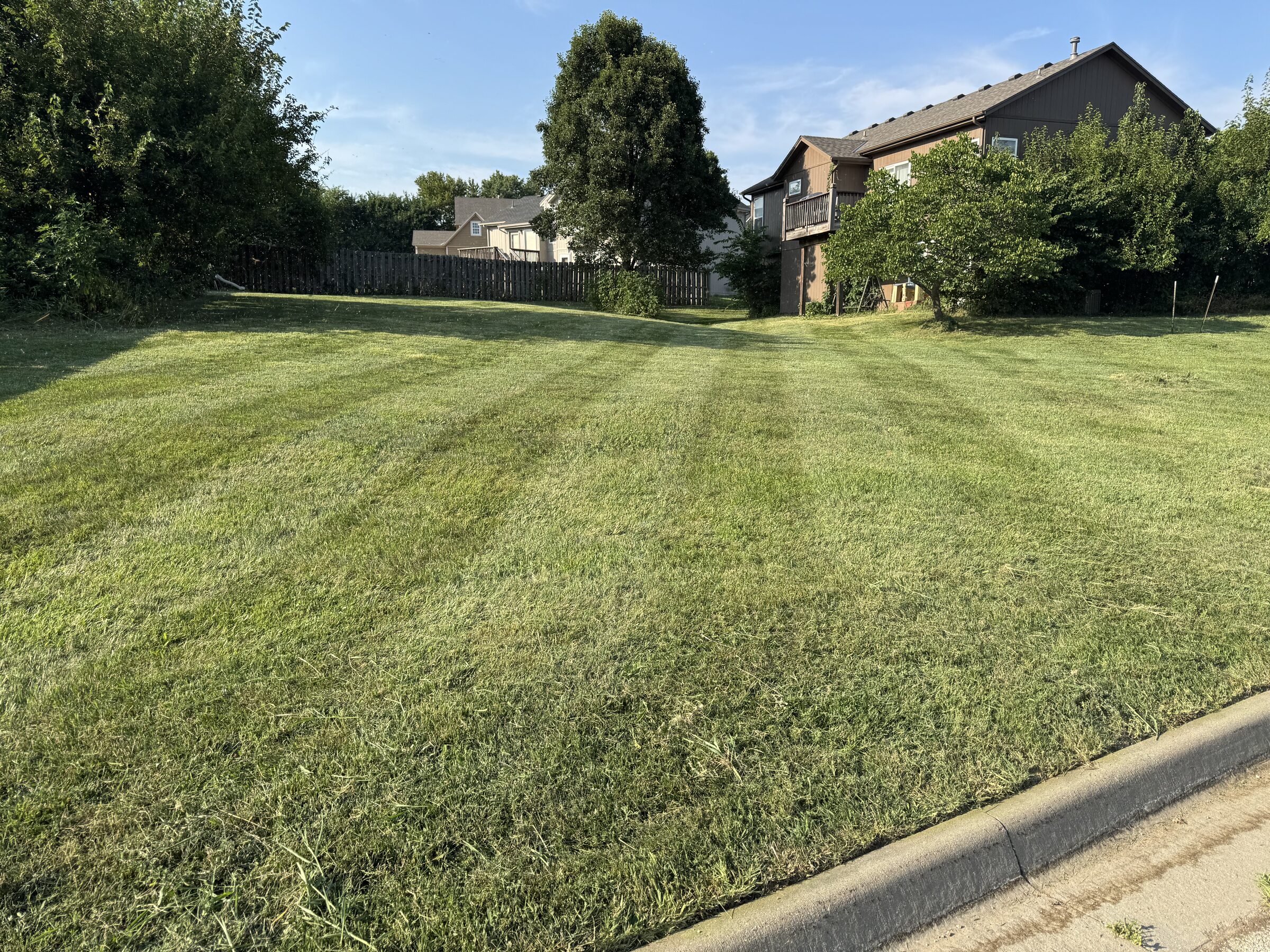 Large residential yard with crisp mowing stripes along the curb