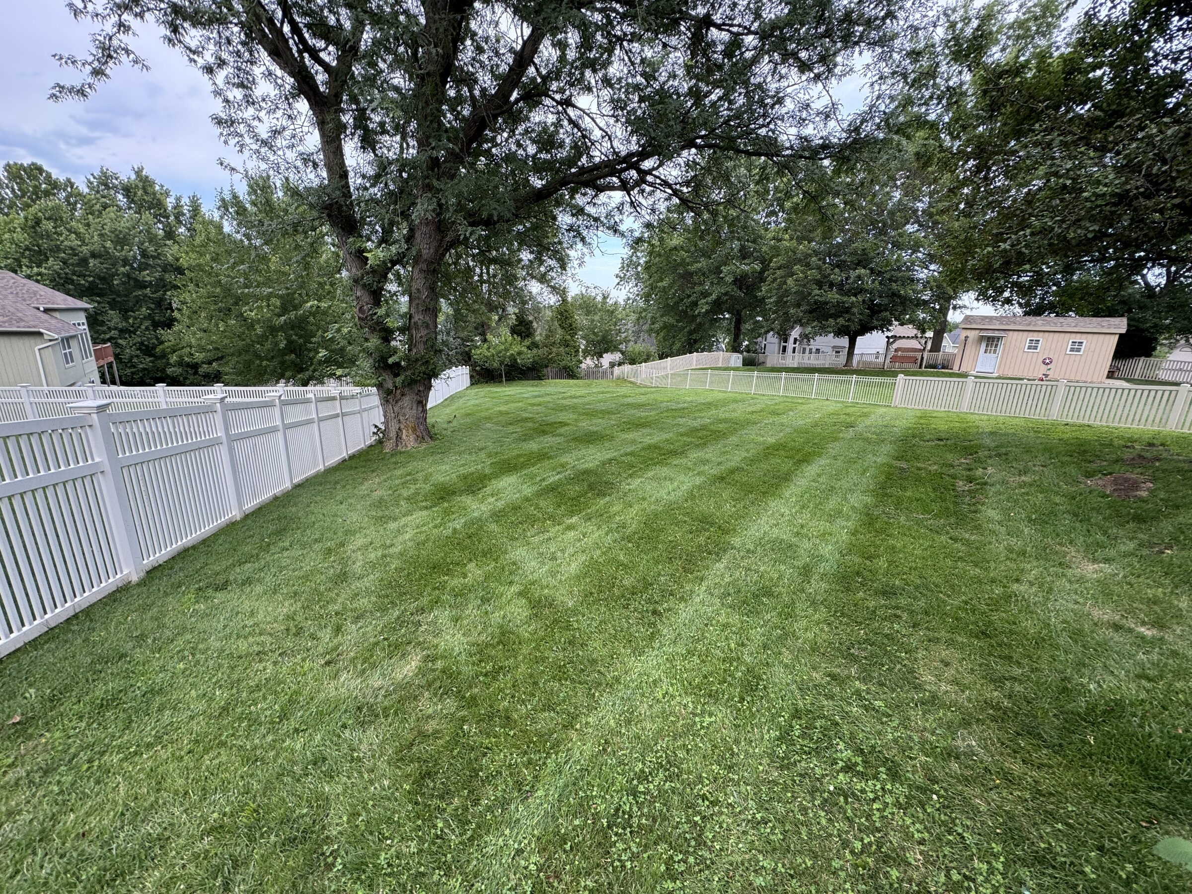 Sloping backyard lawn with wide, precise mowing stripes